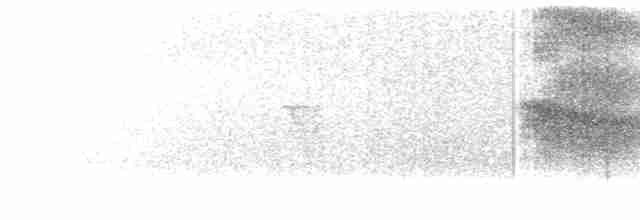 白斑紫嘯鶇 - ML615205895