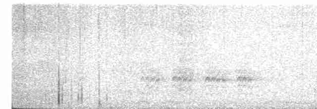 Weißbrustkleiber [lagunae-Gruppe] - ML615206084