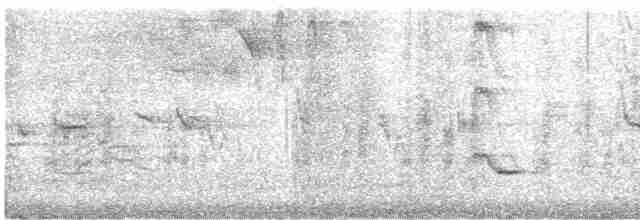 Пересмішник жовтодзьобий - ML615206397