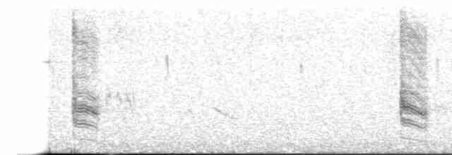 Long-tailed Shrike - ML615206455