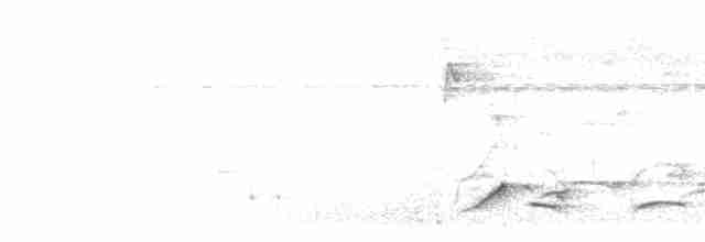 Краснохвостый шелкопёр - ML615206876