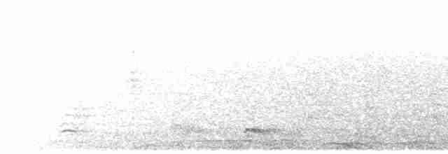 Büyük Ak Tepeli Boynuzgaga - ML615208725