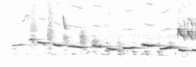 Streifenbrust-Erddrossling - ML615210772