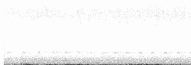 hvitbrynsvartspett - ML615212419