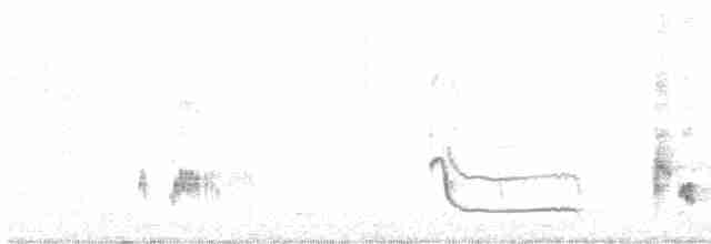 Kalifornienspottdrossel - ML615212835