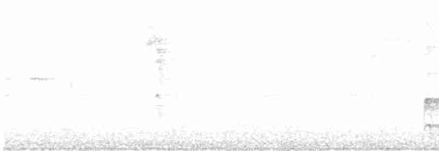 Жовна смугастобока - ML615213513