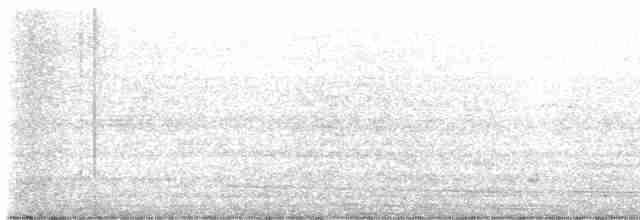 Желтобрюхий дятел-сокоед - ML615213711