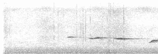 Gri Islıkçı (simplex/brunnescens) - ML615215288
