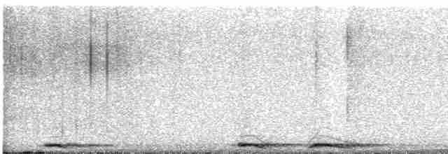 Сова плямиста - ML615215368