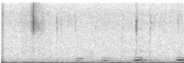 Сова плямиста - ML615215369