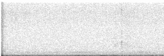 Сова плямиста - ML615215370