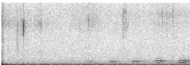 Сова плямиста - ML615215371
