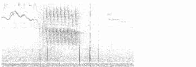 Stachelschwanzschlüpfer - ML615215481
