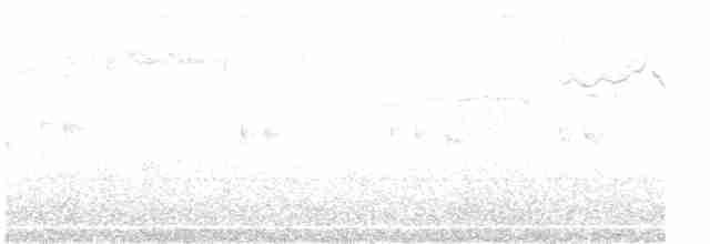 Beyaz Gerdanlı Dalkoşarı - ML615216332
