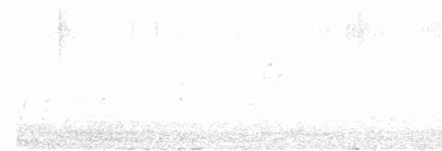 Серый турач - ML615217213
