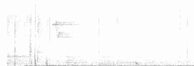 עלווית חורף קנרית - ML615218565