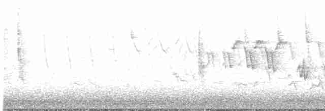 Черногорлая хвойница - ML615220099