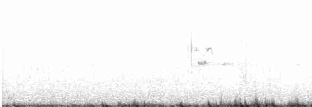 Royal Tern - ML615220314