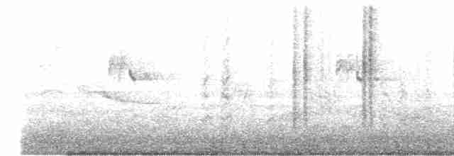 Geniş Gagalı Kolibri - ML615221356