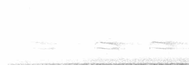 Опоясанный зимородок - ML615223932