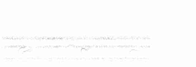 Дрізд-короткодзьоб Cвенсона - ML615224708