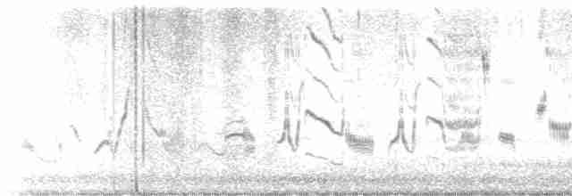 Кактусовый пересмешник - ML615225097