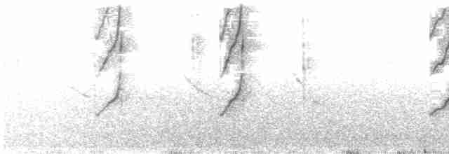 Sivri Gagalı Sepetören - ML615225788
