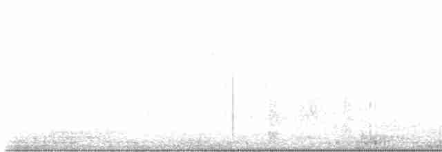 Black-tailed Gnatcatcher - ML615228511