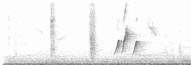 Curve-billed Thrasher - ML615228603