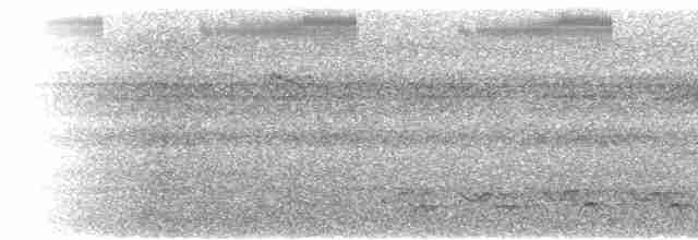 Méliphage de Viti Levu - ML615228997