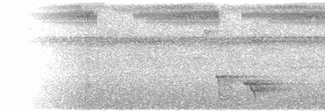 Méliphage d'Ovalau - ML615229256