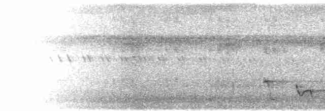 Mielero Carunculado de Viti Levu - ML615229816