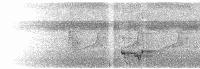 Mielero Carunculado de Viti Levu - ML615229904