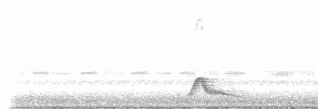 Pauraquenachtschwalbe - ML615230684