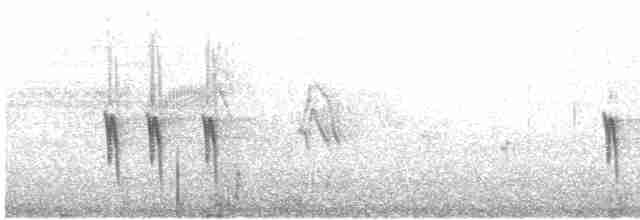 Red Crossbill (Western Hemlock or type 3) - ML615231271