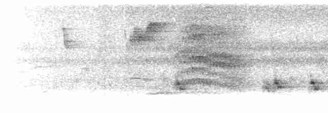 Black-naped Oriole (East Asian) - ML615234832