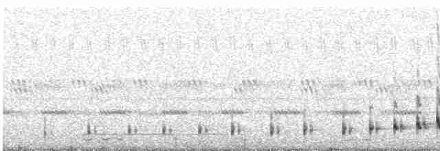 Buff-collared Nightjar - ML615236636