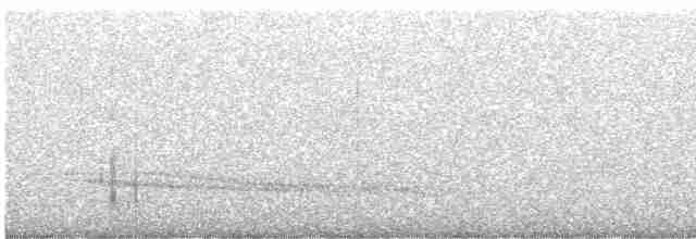 Окаритский киви - ML615239162