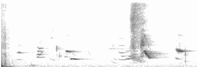 Méliphage carillonneur - ML615239646