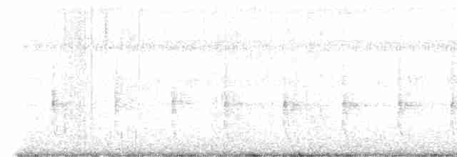 Striated Grassbird - ML615243454