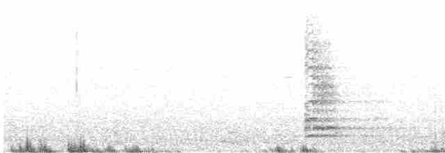 Cuervo Grande - ML615246994