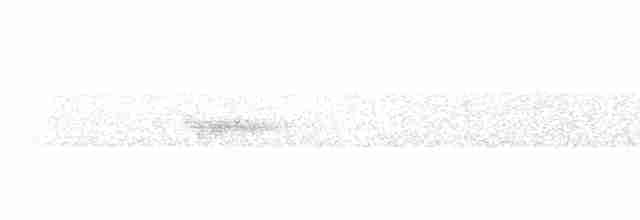 白斑紫嘯鶇 - ML615247299