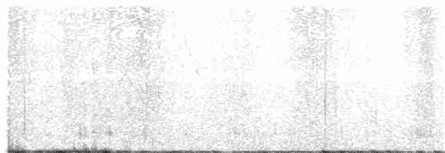 tyranovec vrbový - ML61524731