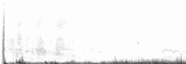 Geai des pinèdes - ML615247574