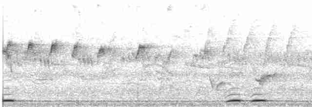 Одуд євразійський (підвид africana) - ML615247731