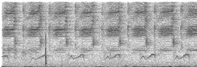 Лінивка плямистогруда - ML615249397