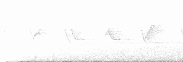黃腹花蜜鳥 - ML615251736