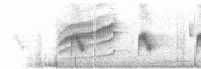 Spot-breasted Wren - ML615252319