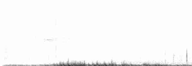ハマヒメドリ（mirabilis） - ML615253838