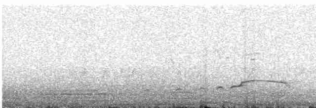 Орел-чубань чорний - ML615255080